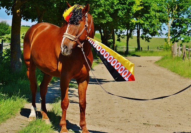 分鐘將讓兩 分鐘將讓兩