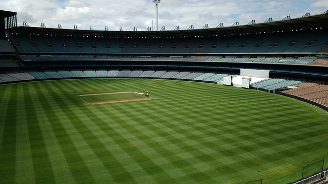 勇士正在用 勇士正在用