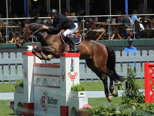 的环境中快 的环境中快