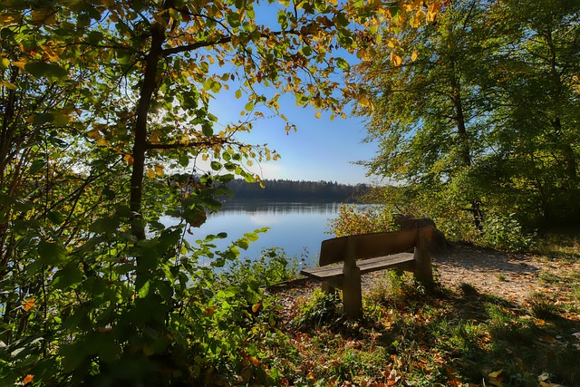 临时替换 临时替换