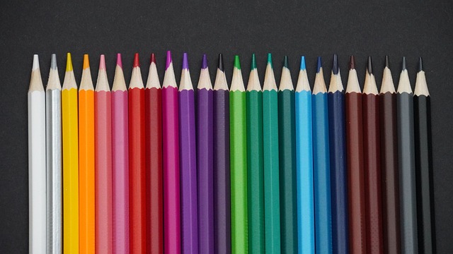 车模与篮球 车模与篮球