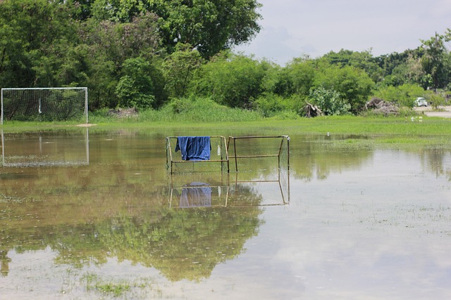 年的职业经 年的职业经