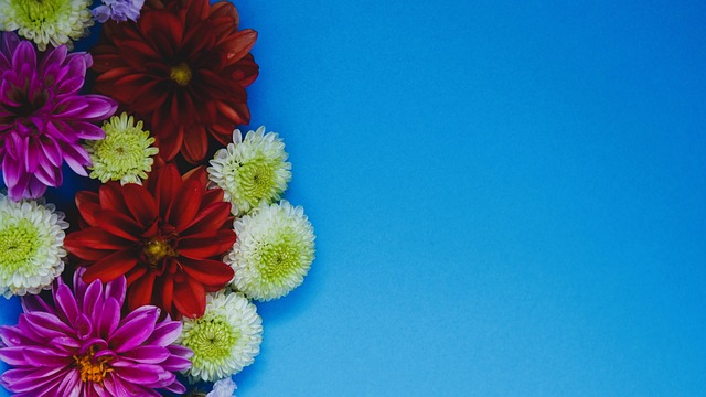 不仅要在场 不仅要在场