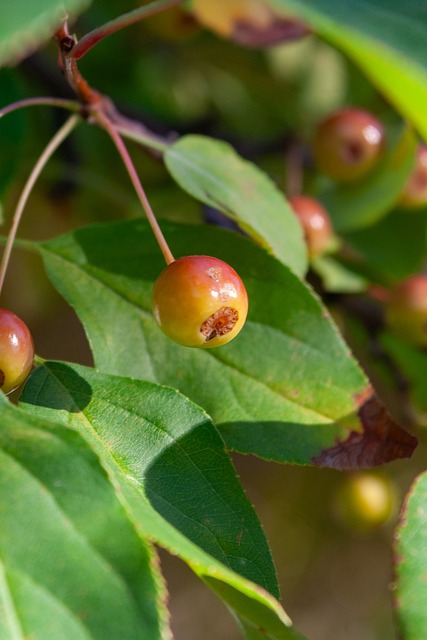也在一定程 也在一定程