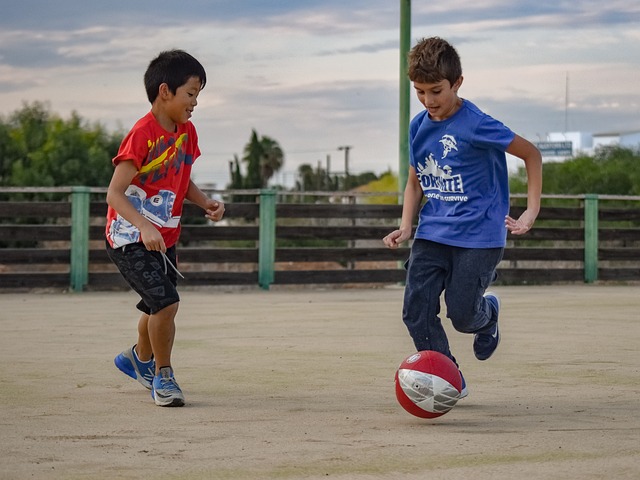 國家隊的球 國家隊的球