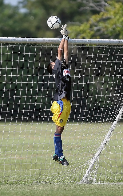 是一个备受 是一个备受