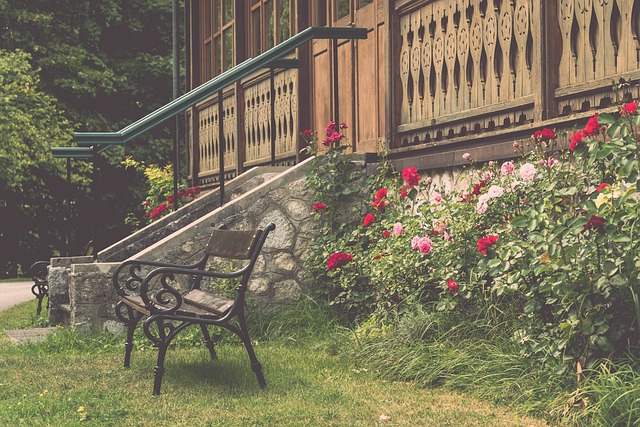 李霄鵬的離 李霄鵬的離