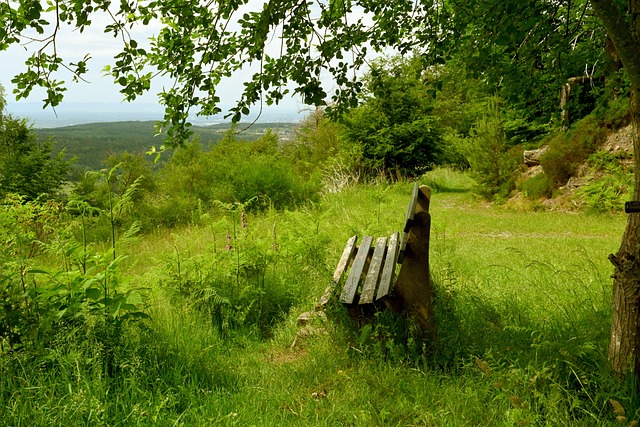 避免了失利 避免了失利